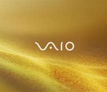 Image result for Sony Vaio Laptop Screen Texture