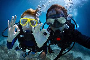 Image result for Underwater Diving