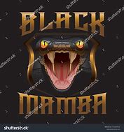 Image result for Black Mamba Snake Meme