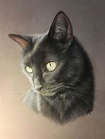 Image result for Scary Black Cat Drawing