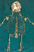 Image result for Old Lady Skeleton
