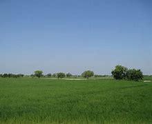 Image result for Land