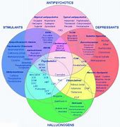 Image result for Drug Addiction Recovery Wheel