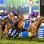 Image result for Dubai World Cup Carnival Logo