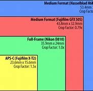 Image result for Fuji Medium Format Sensor Size