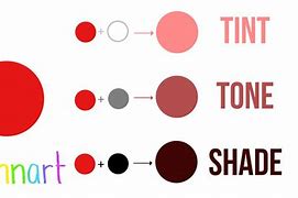 Image result for Color Tint Photoshop