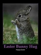 Image result for Funny Easter Memes Cute