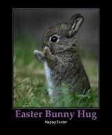 Image result for Cute Easter Memes