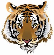 Image result for Tiger SVG Transparent Background