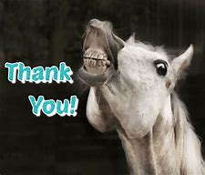 Image result for Thank You Horse Meme