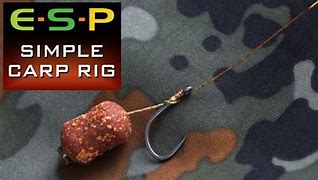 Image result for Simple Carp Fishing Rigs