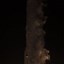 Image result for SpaceX Falcon Heavy Rocket