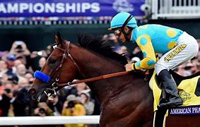 Image result for Breeders' Cup Classic Xxii Winner