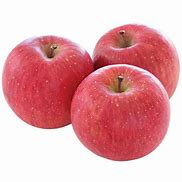 Image result for Fuji Apple Tree