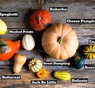 Image result for Red Squash Types