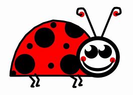 Image result for Bug in a Web Clip Art