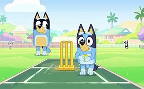 Image result for Bluey Cricket Bat
