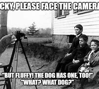 Image result for Funny Camera Memes