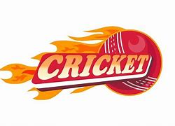 Image result for Fireball Cricket Logo