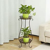 Image result for Chinese Plant Stands Indoor