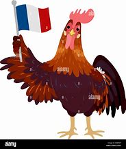 Image result for Coq Gaulois Drawing Easy