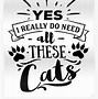 Image result for Crazy Cat Lady Background