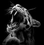 Image result for Black and White Animal Paintings