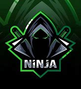 Image result for Ninja Mascot