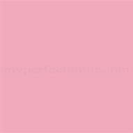 Image result for Rosy Pink Color