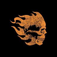 Image result for Flaming Skull T-Shirt