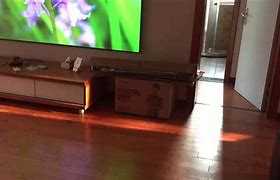 Image result for 150 Inch Fixed Frame Only Projector Screen