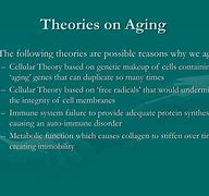 Image result for Telomere Theory of Aging