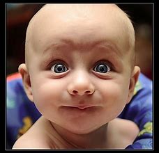 Image result for Free Funny Baby