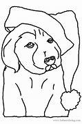 Image result for Dog with Hat Gang Meme