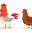 Image result for Chick Mainspring