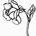 Image result for Flower Tracing Pattern