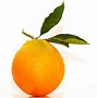 Image result for Inner Part of an Orange Fruit with Leaves
