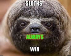 Image result for New Phone Sloth Meme