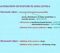 Image result for Enzyme Cell