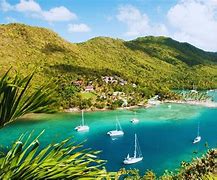 Image result for Saint Lucia Snorkeling