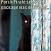 Image result for Cute Black Cat Memes