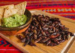 Image result for Chapilines Tacos