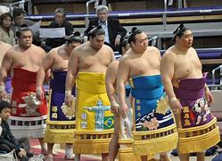 Image result for Sumo Suit