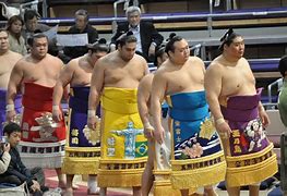 Image result for Sumo Wrestling Championship