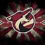 Image result for Arizona Coyotes Kachina Head Logo