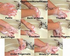 Image result for Proper Hand Hygiene