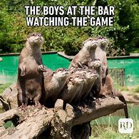 Image result for Hilarious Wild Animal Memes