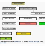 Image result for Dravidian Language Tree