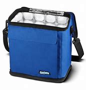 Image result for 12 Can Cooler