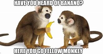 Image result for Monkey with Banana Meme